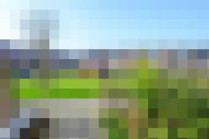 de Werf 8 Schagen thumbnail 30