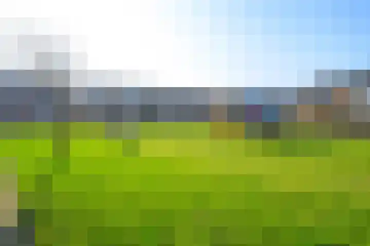 de Werf 8 Schagen thumbnail 31