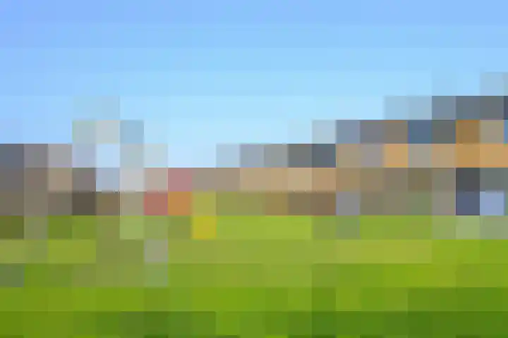 de Werf 8 Schagen thumbnail 32