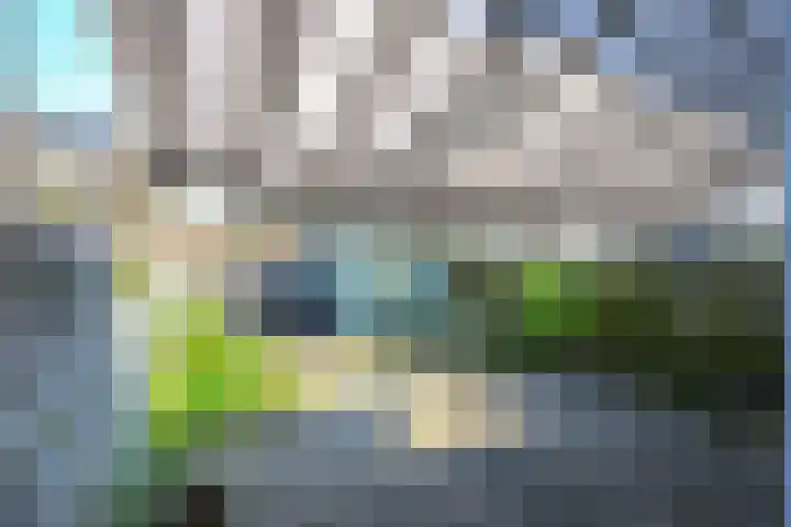 de Werf 8 Schagen thumbnail 8