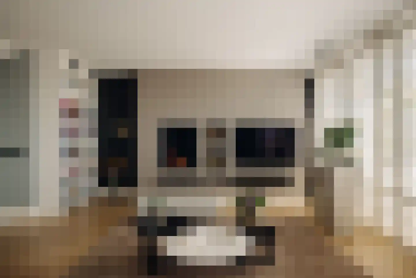 De Werf 88 Monnickendam thumbnail 10