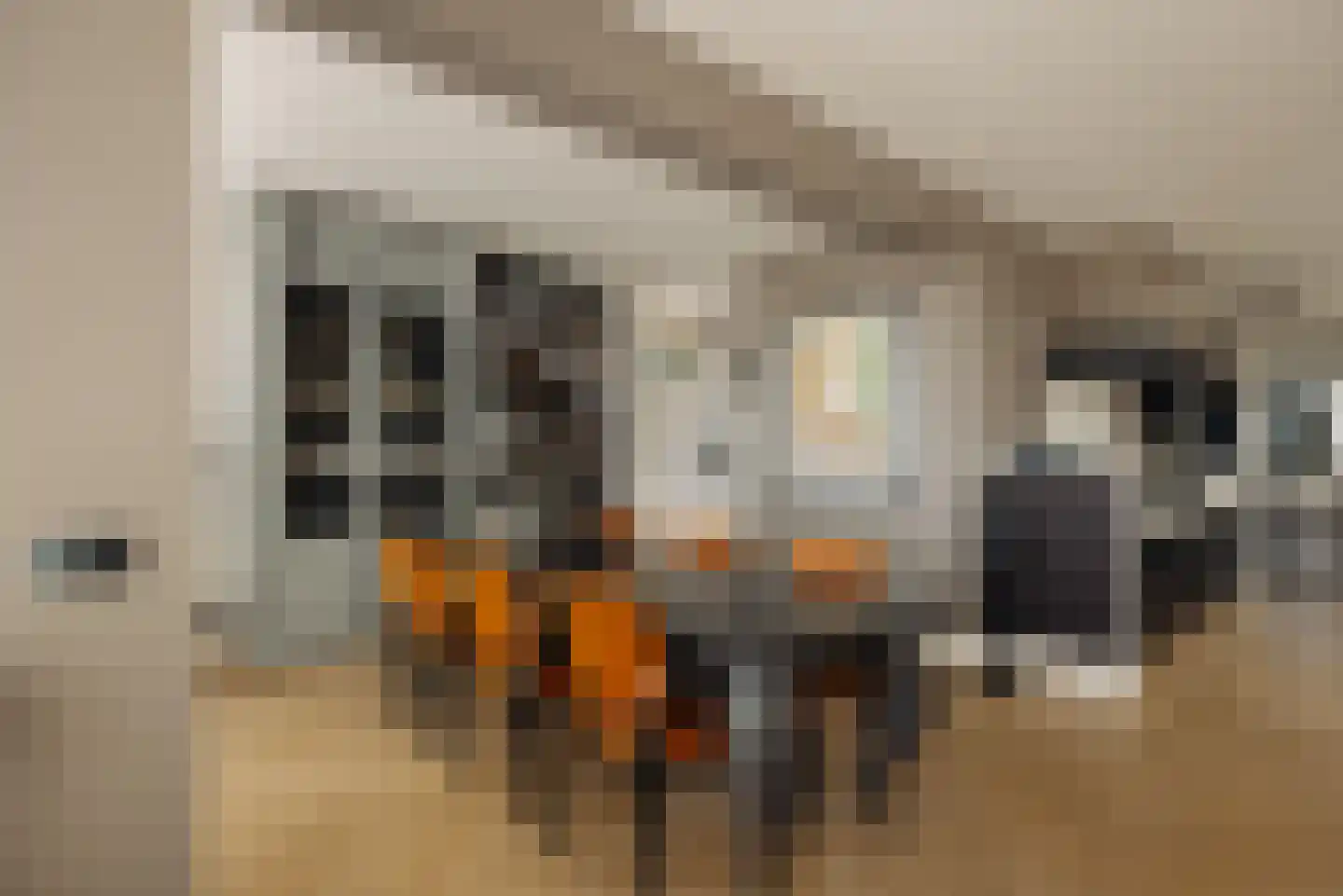 De Werf 88 Monnickendam thumbnail 21