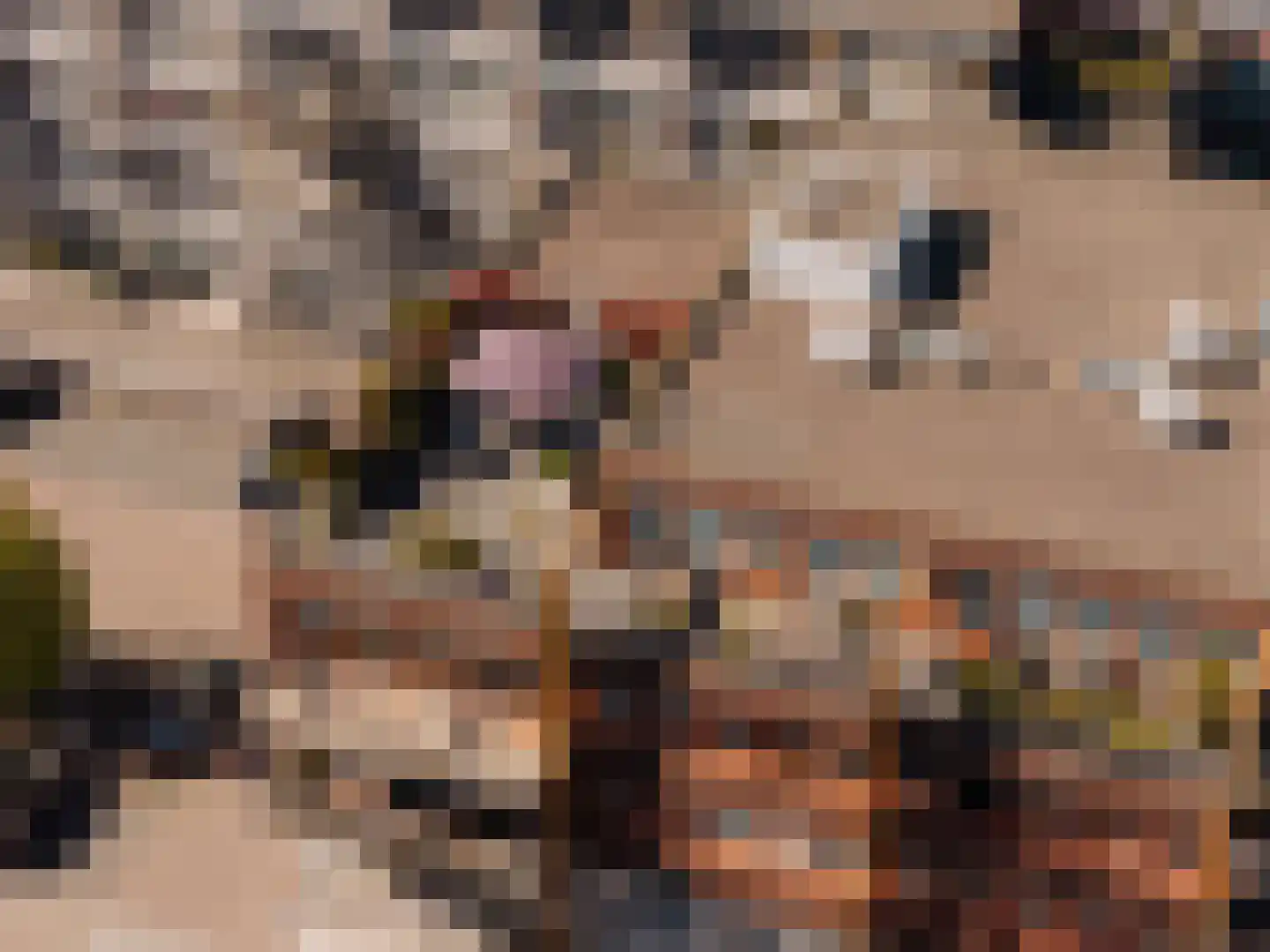 De Werf 88 Monnickendam thumbnail 5