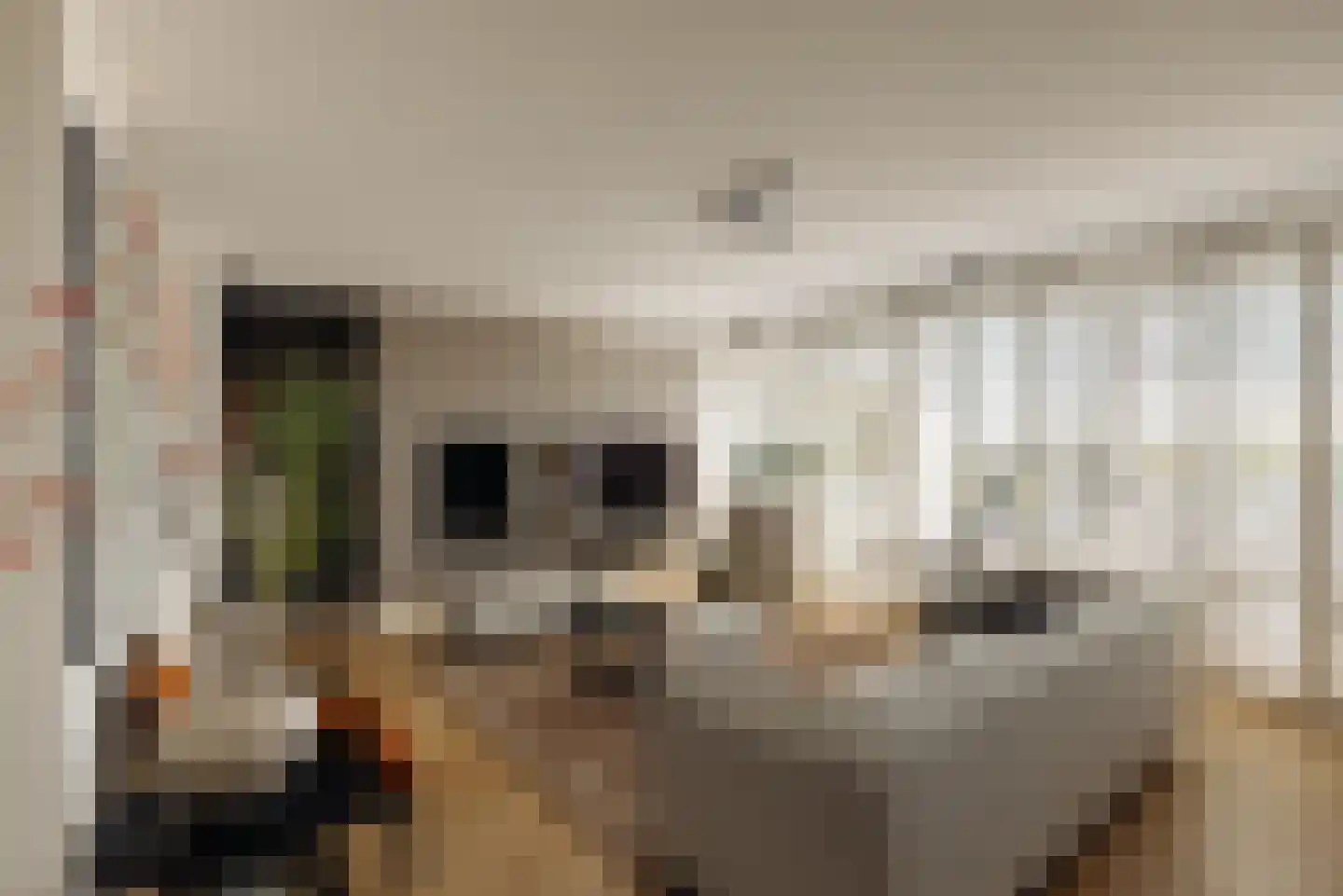 De Werf 88 Monnickendam thumbnail 9