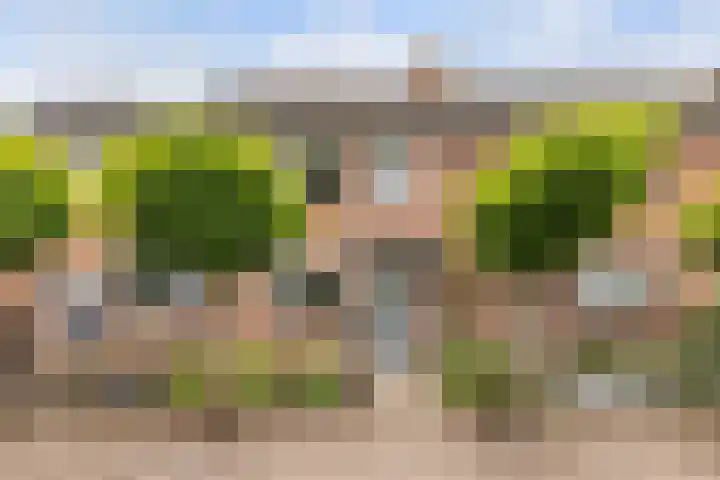 De Werft 36 Moergestel