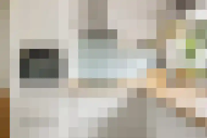 De Werft 36 Moergestel thumbnail 18