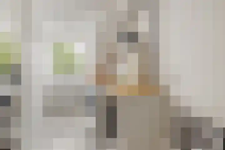 De Werft 36 Moergestel thumbnail 37