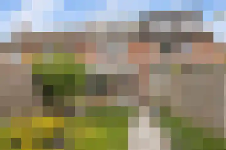 De Werft 36 Moergestel thumbnail 43