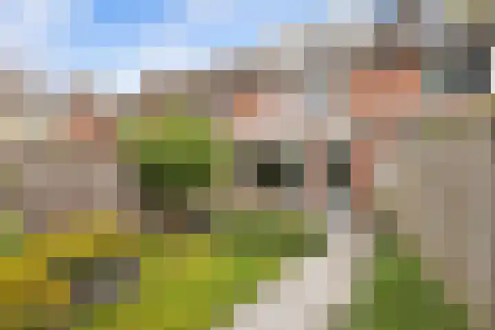 De Werft 36 Moergestel thumbnail 44