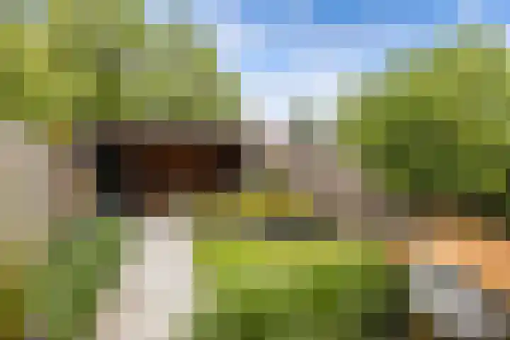 De Werft 36 Moergestel thumbnail 47