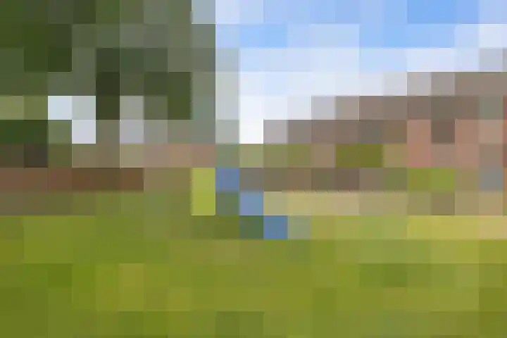 De Werft 36 Moergestel thumbnail 50
