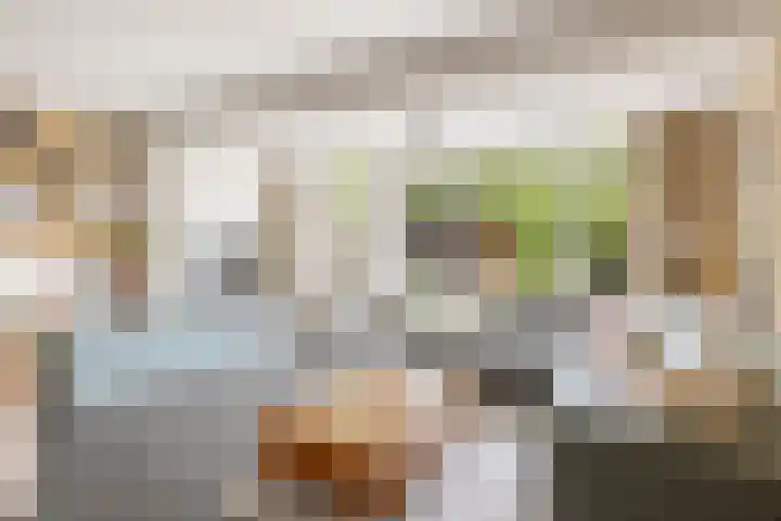 De Werft 36 Moergestel thumbnail 7