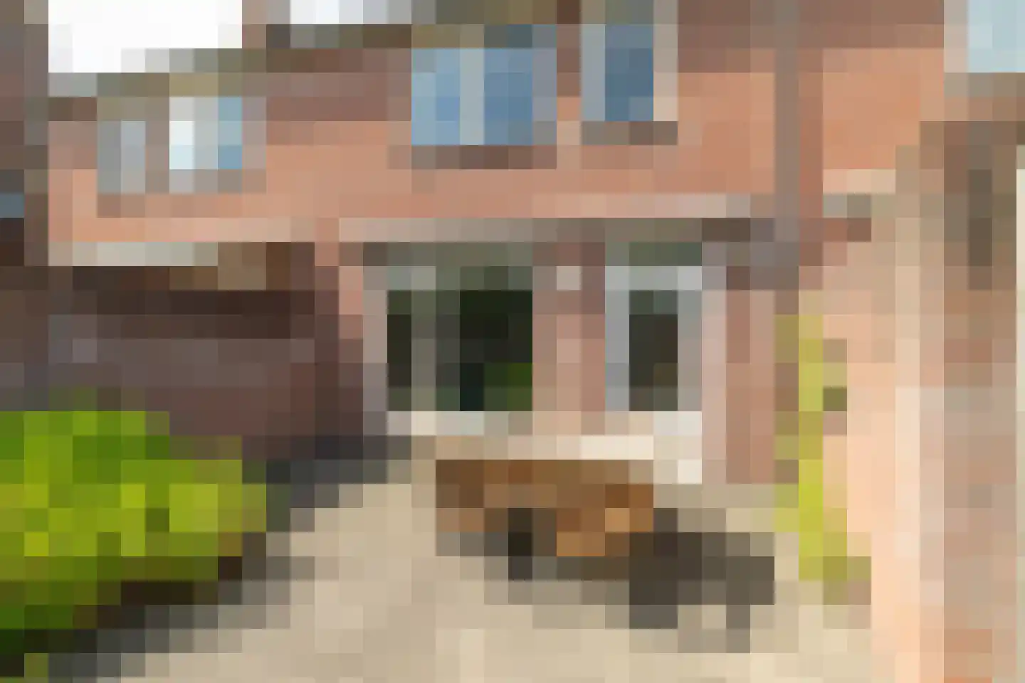 De Werft 6 Moergestel thumbnail 29