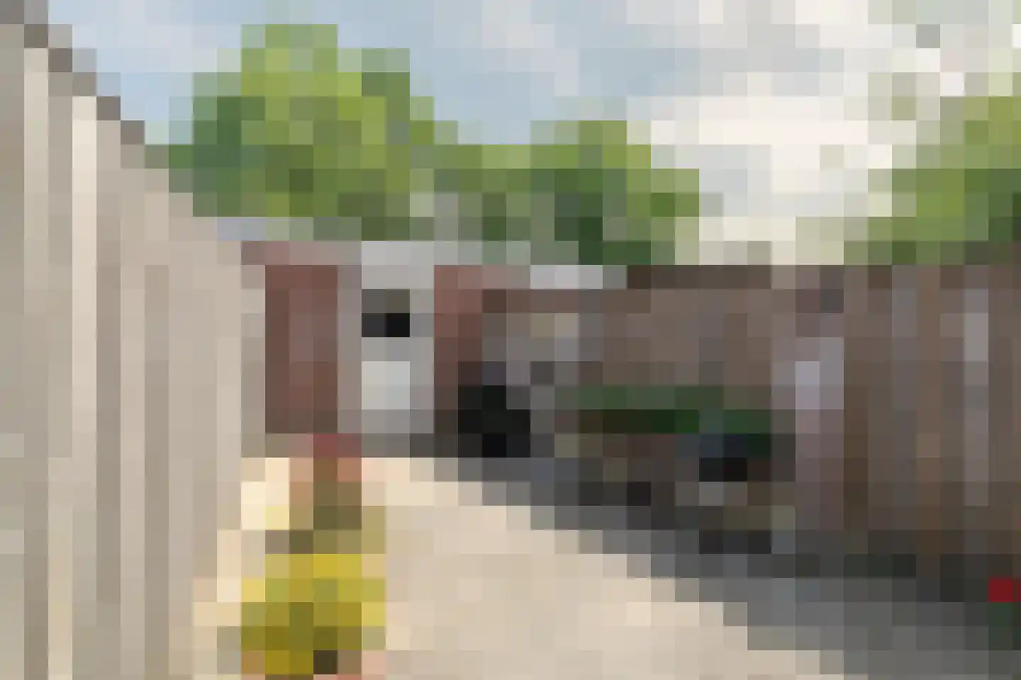 De Werft 6 Moergestel thumbnail 30