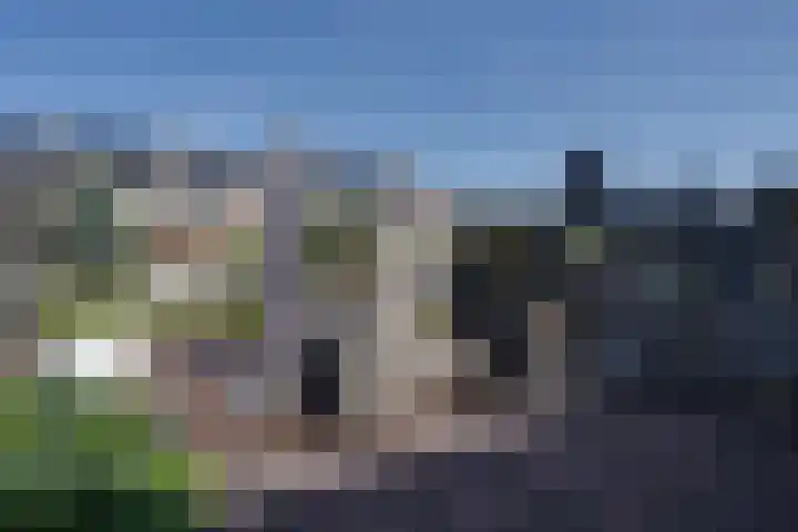 De Wering 124 Oostzaan thumbnail 30