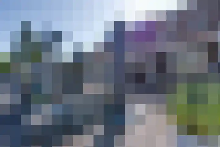 De Wering 124 Oostzaan thumbnail 35
