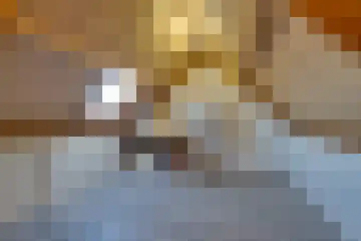 De Wering 124 Oostzaan thumbnail 51