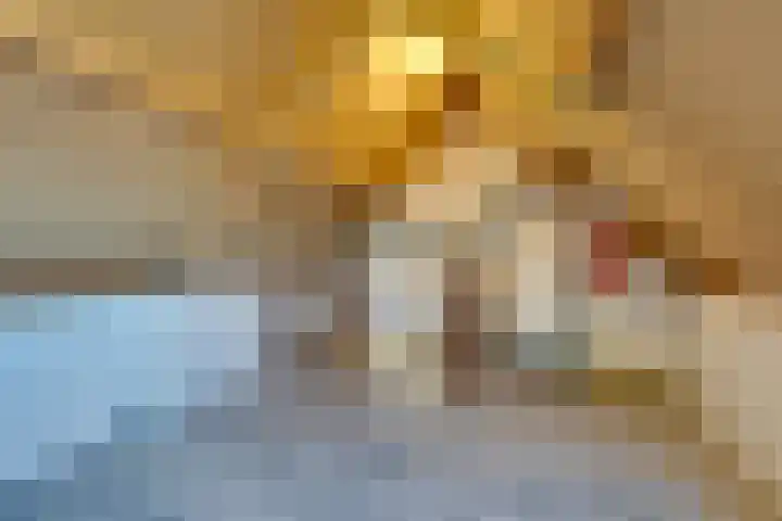 De Wering 124 Oostzaan thumbnail 52