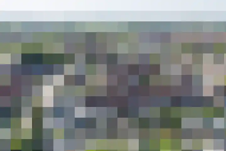 De Wering 124 Oostzaan thumbnail 53