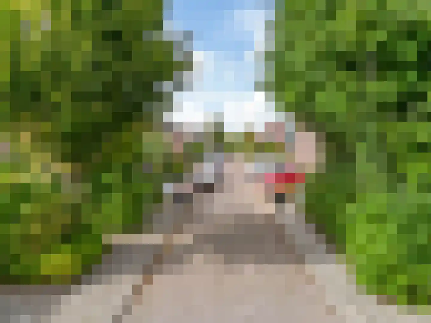 De Wering 142 Oostzaan thumbnail 17