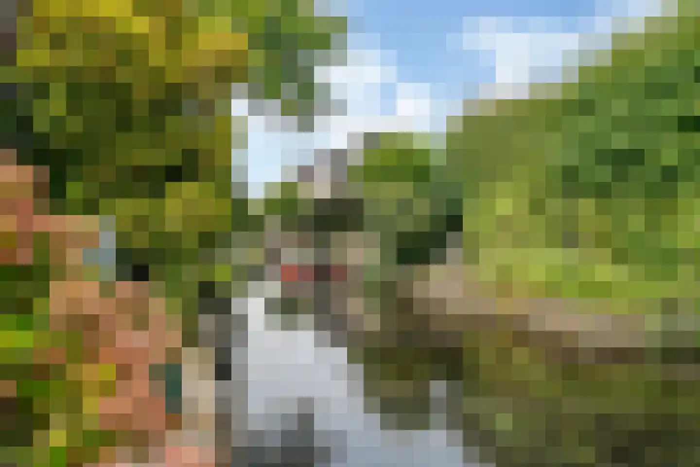 De Wering 142 Oostzaan foto 3
