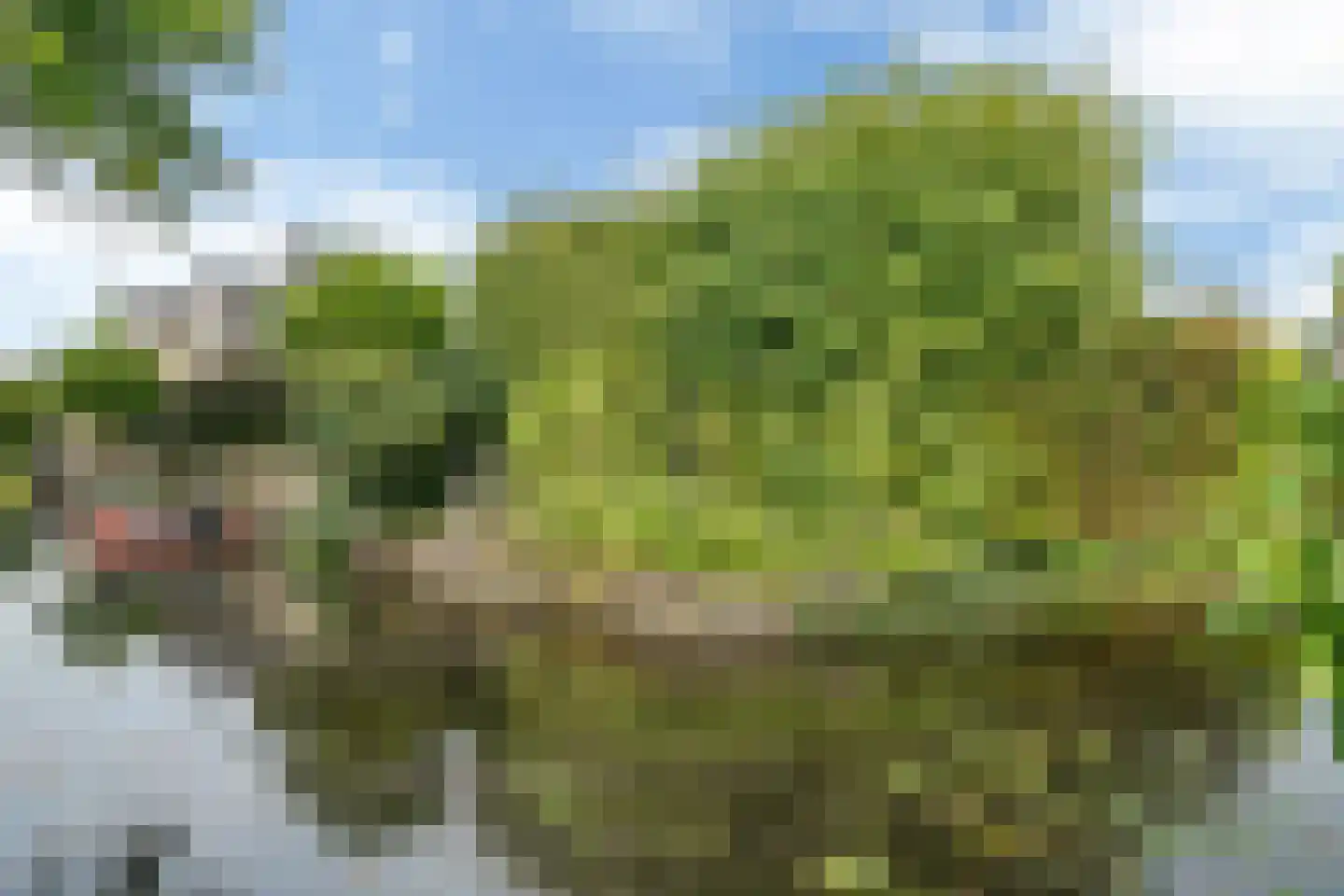 De Wering 142 Oostzaan thumbnail 45