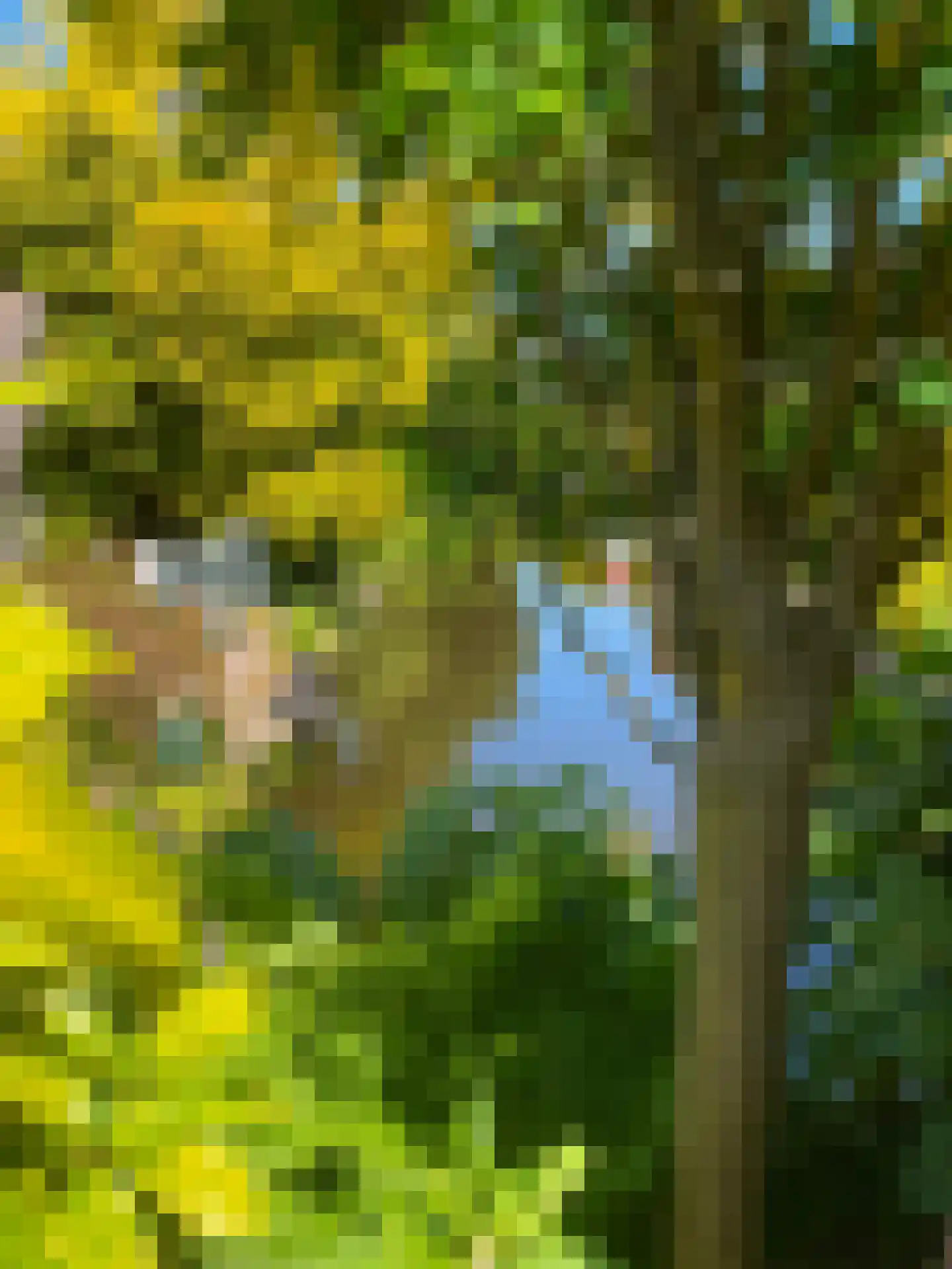 De Wering 142 Oostzaan thumbnail 7