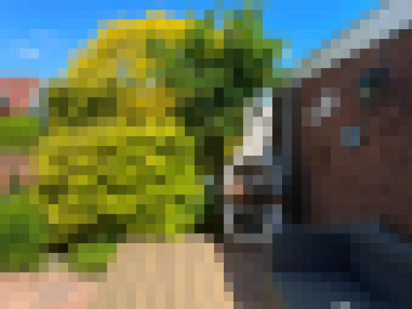 De Wering 142 Oostzaan thumbnail 8