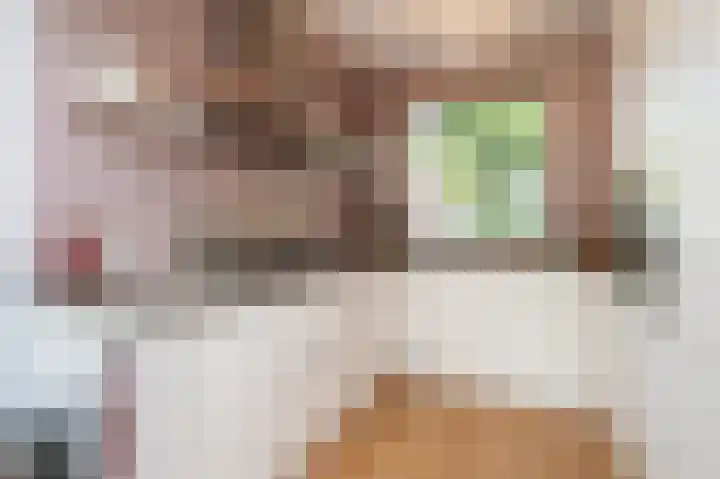 De Wering 18 Oostzaan thumbnail 12