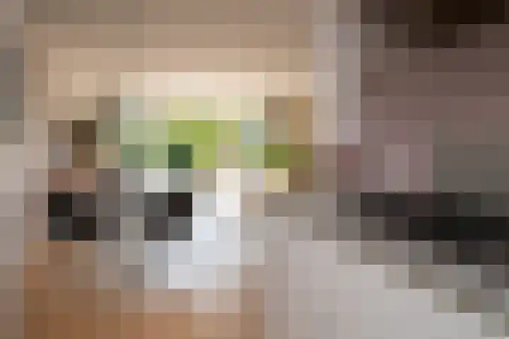 De Wering 18 Oostzaan thumbnail 13