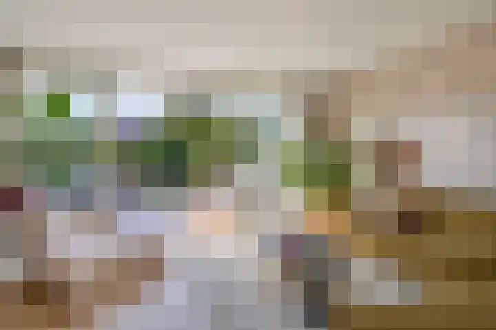 De Wering 18 Oostzaan thumbnail 14
