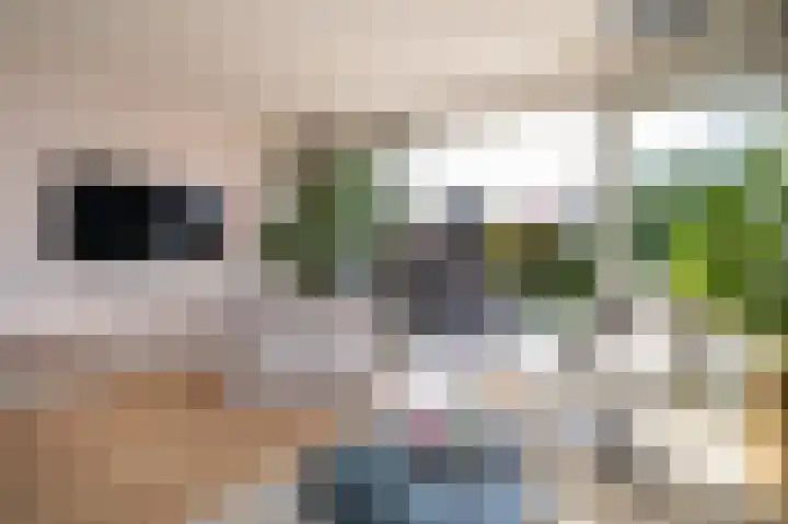De Wering 18 Oostzaan thumbnail 15