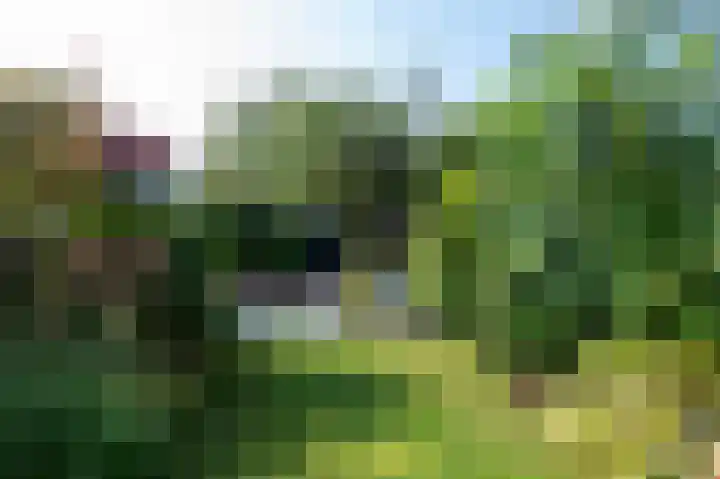 De Wering 18 Oostzaan thumbnail 20
