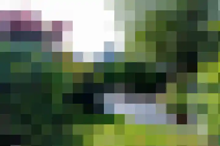 De Wering 18 Oostzaan thumbnail 21