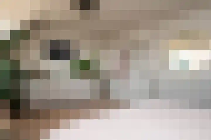 De Wering 18 Oostzaan thumbnail 33