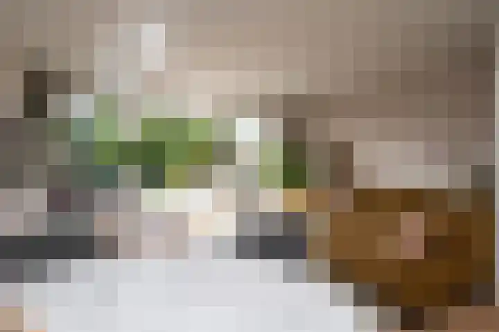 De Wering 18 Oostzaan thumbnail 7