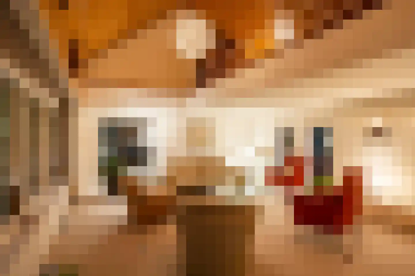 de Wermerweg 17 Hengelo thumbnail 16