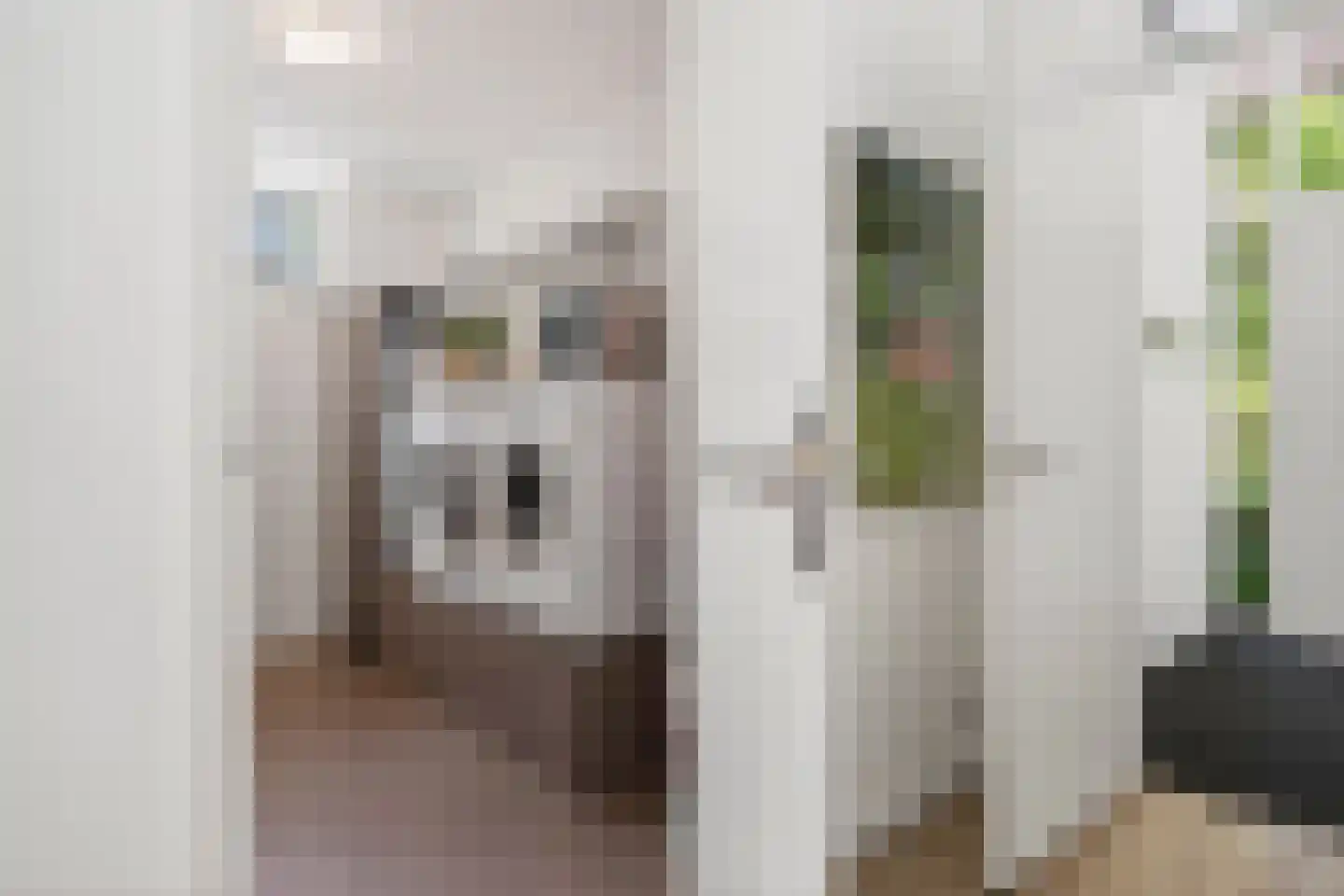 de Wermerweg 17 Hengelo thumbnail 33