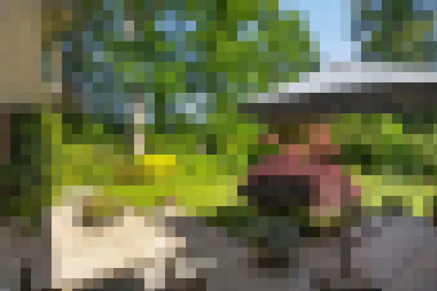 de Wermerweg 17 Hengelo thumbnail 48