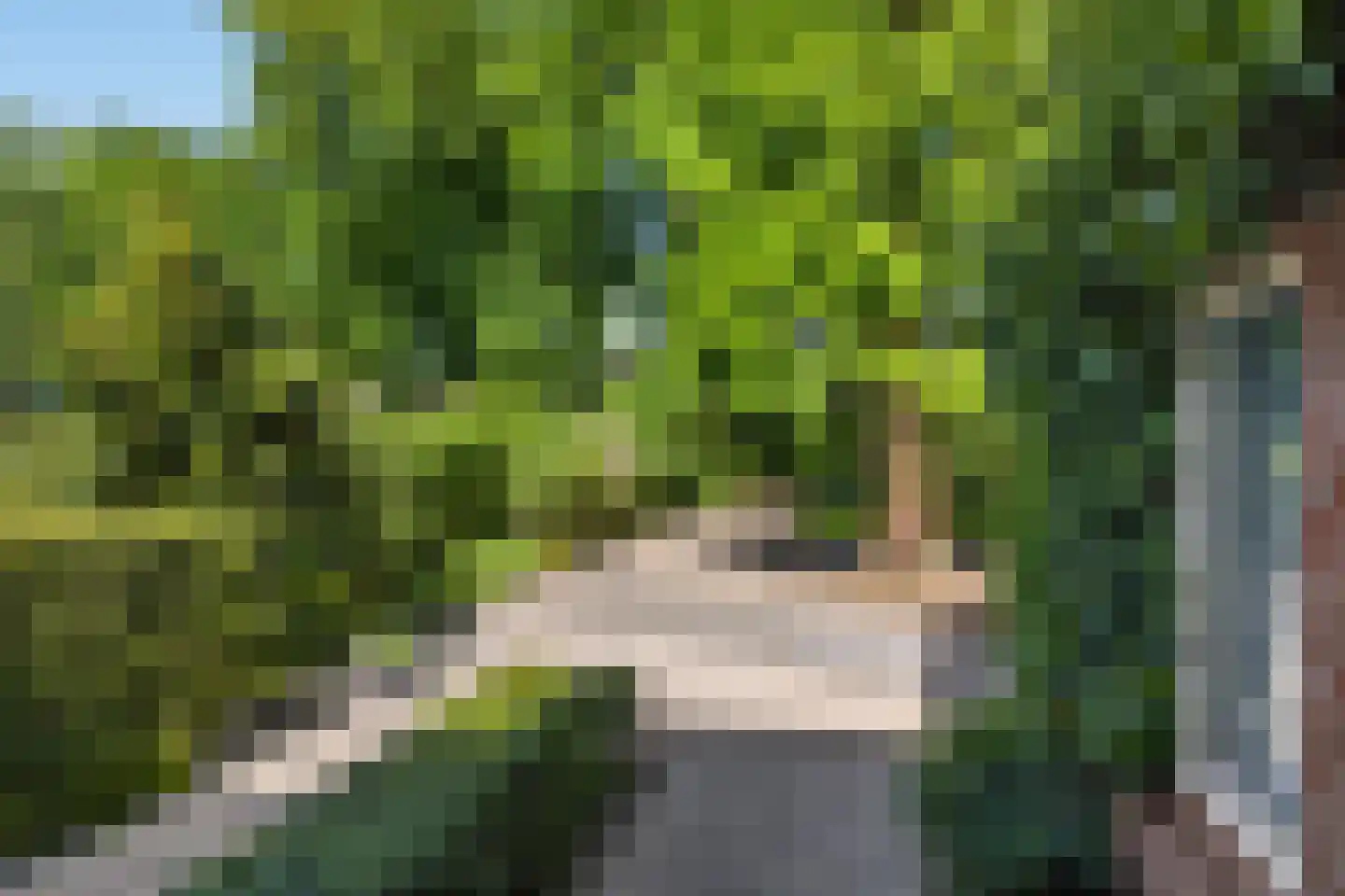 de Wermerweg 17 Hengelo thumbnail 62