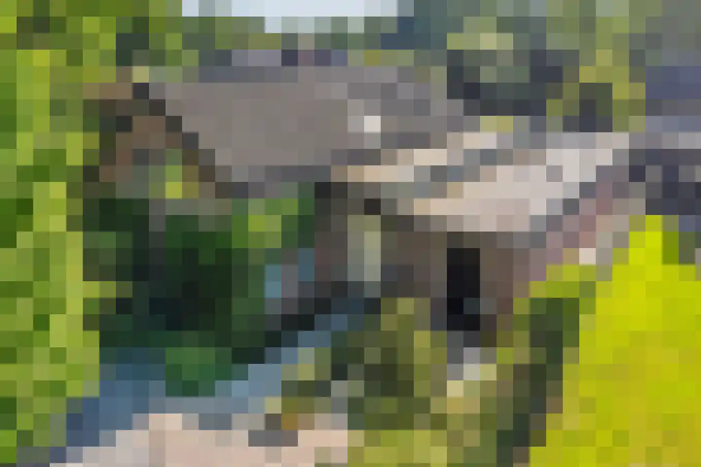 de Wermerweg 17 Hengelo thumbnail 64