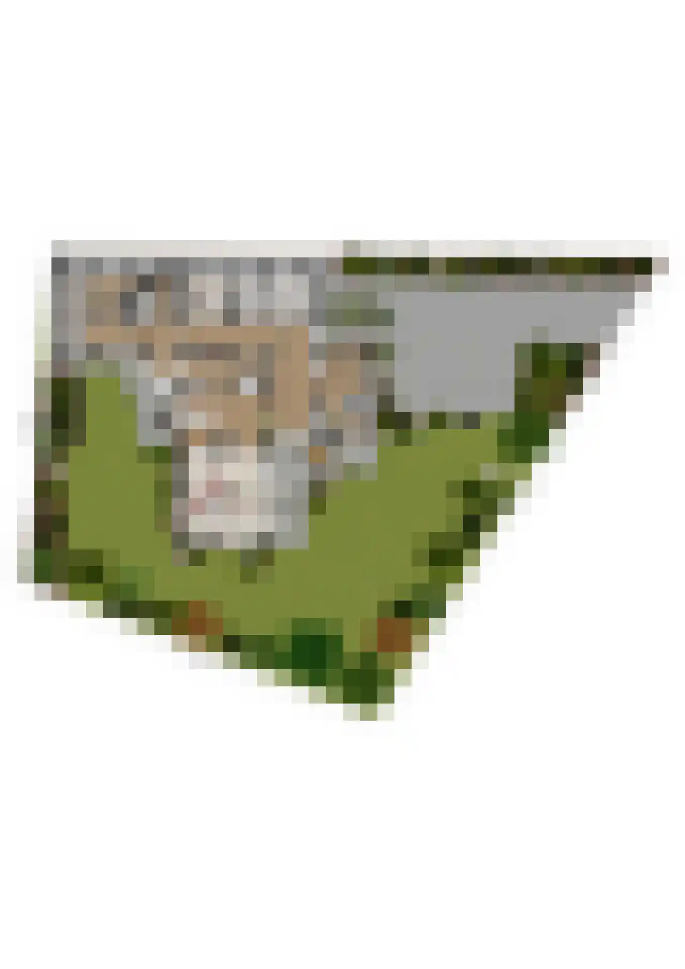 de Wermerweg 17 Hengelo thumbnail 72