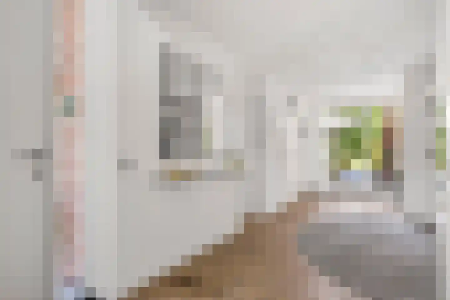 de Wermerweg 17 Hengelo thumbnail 9