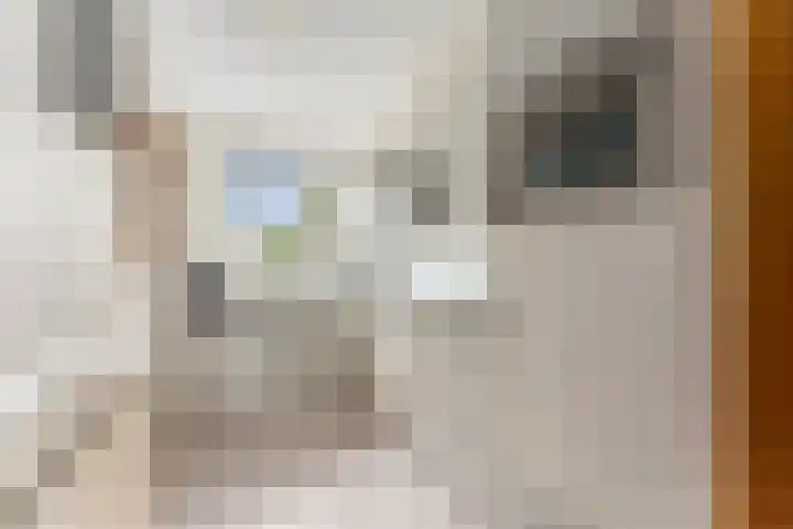 De Wervel 12 Alblasserdam thumbnail 14