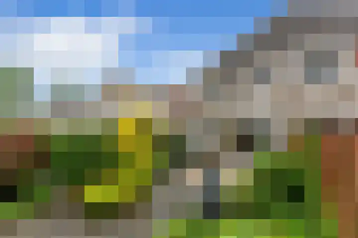 De Wervel 12 Alblasserdam thumbnail 35