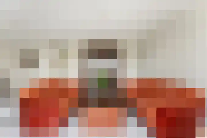De Wervel 12 Alblasserdam thumbnail 7