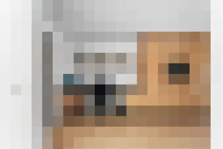 De Wervel 36 Alblasserdam thumbnail 22