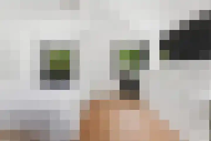 De Wervel 36 Alblasserdam thumbnail 43