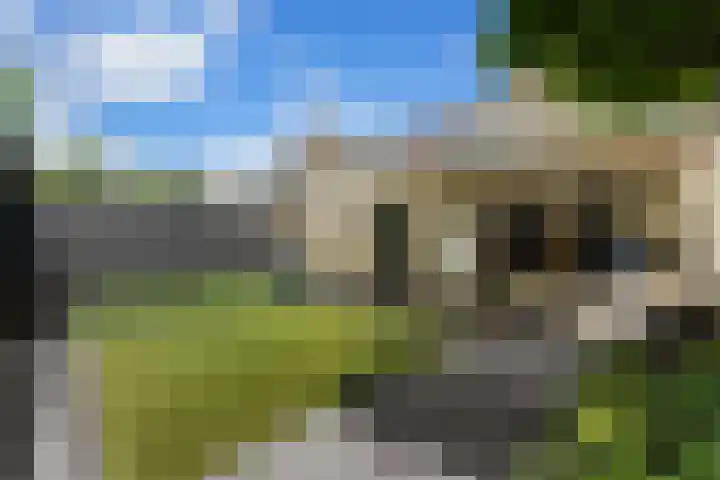 De Wervel 36 Alblasserdam thumbnail 51