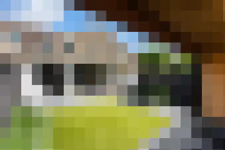 De Wervel 36 Alblasserdam thumbnail 52